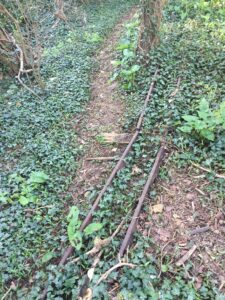 Track by Bedford Road/Turnpike Lane taken April 2021 by Louise Mahrra